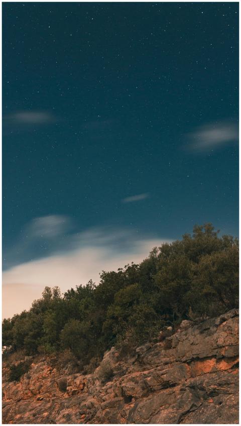 Tranquil starry night sky over rocky cliffs and tr