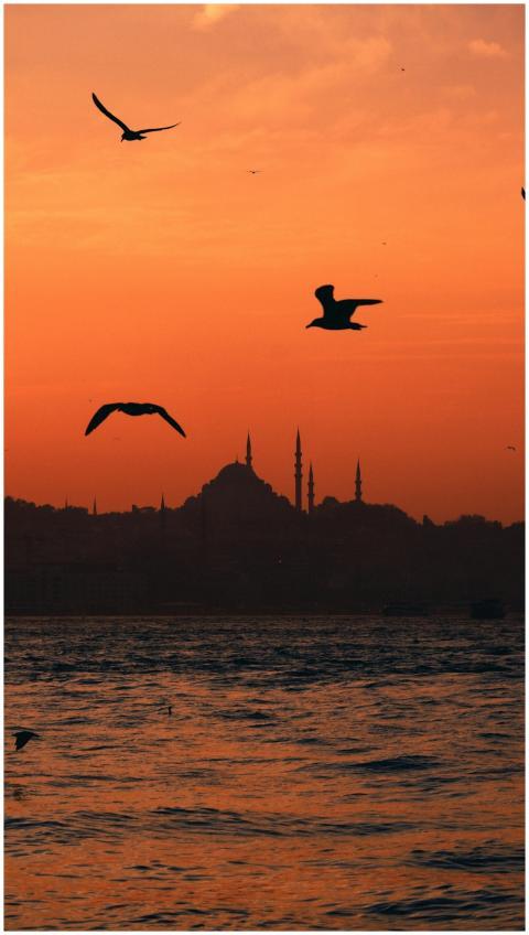 Serene view of Istanbul silhouette at sunset with