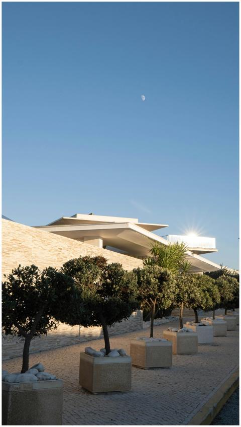 Contemporary building with trees under a clear blu