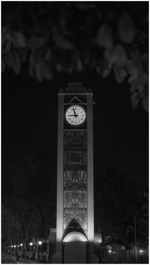 Captivating black and white photograph of a clock