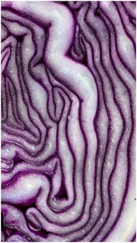 Macro shot showcasing the intricate patterns and t