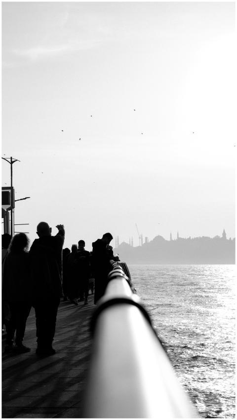 Black and white silhouettes of people enjoying a w