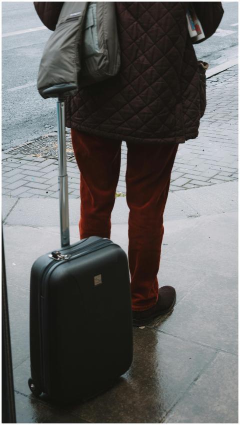 Back view of a person standing with luggage on a w