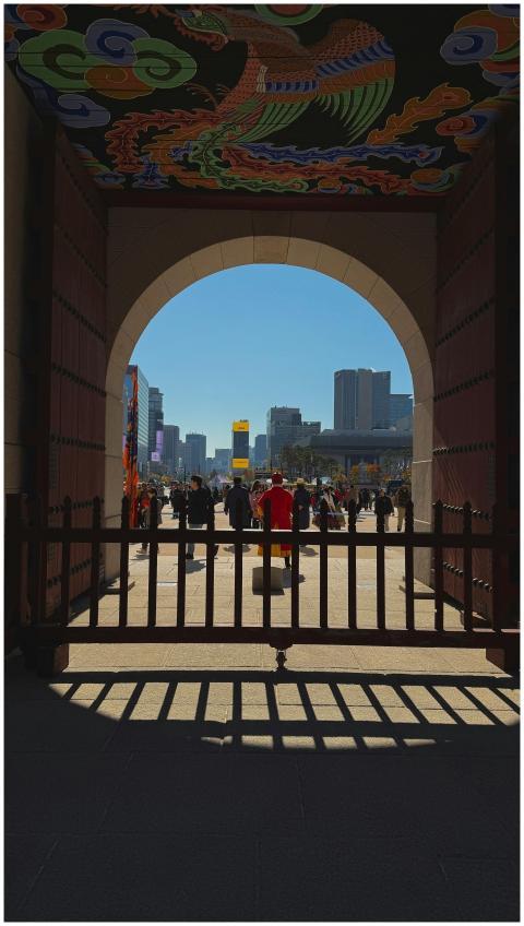 Free stock photo of seoul