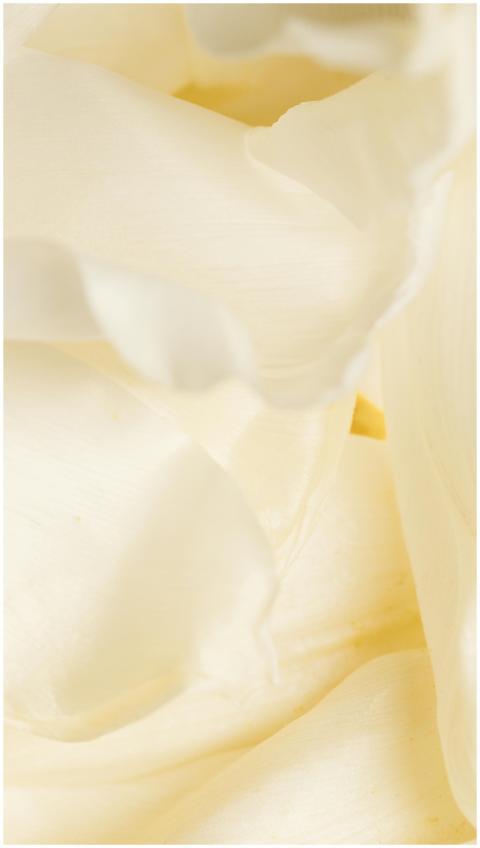 Close-up of delicate white petals showcasing a sof