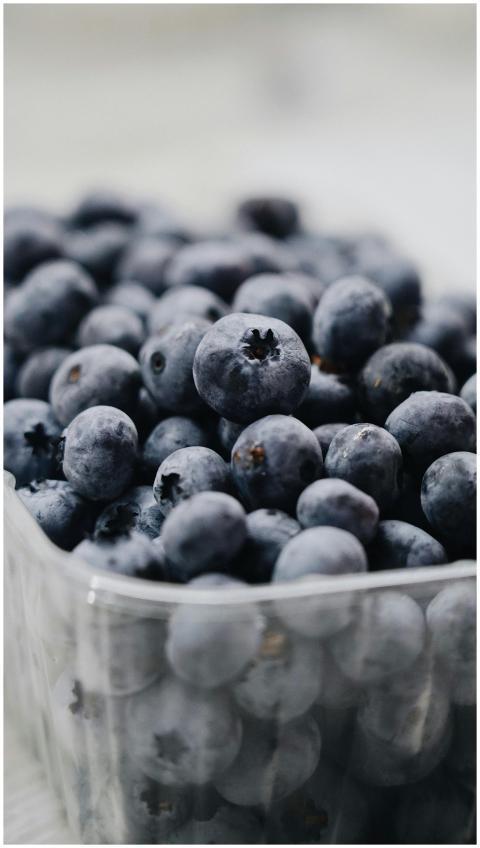 Close-up of fresh organic blueberries in a plastic