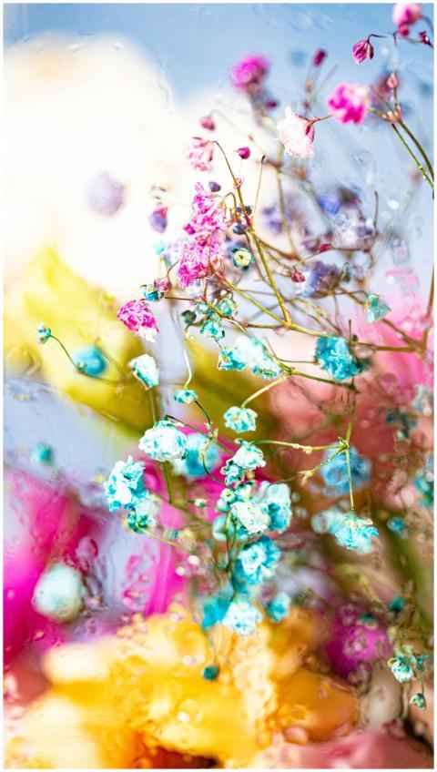 Vibrant flowers with dewdrops, creating a dreamy,