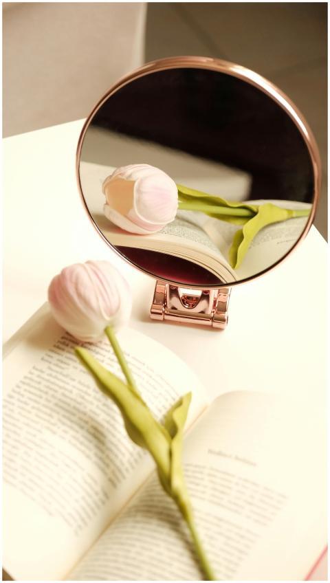 Soft pink tulip reflected in a round mirror on an