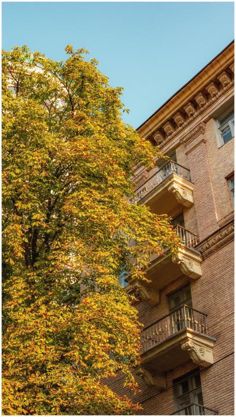 Historic building façade highlights fall colors of