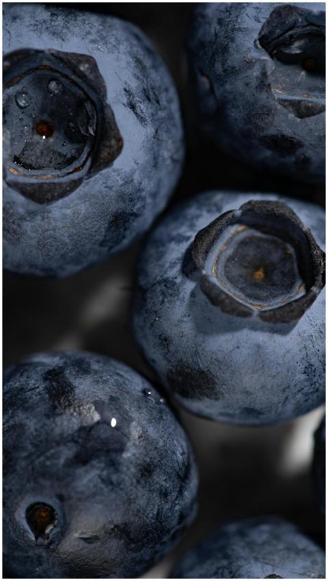 Macro shot of fresh blueberries with dew drops hig