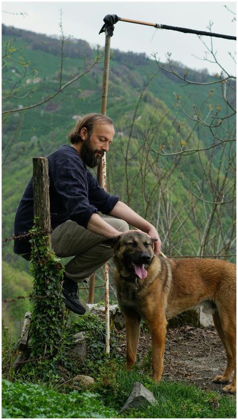 A man petting a Belgian Malinois outdoors with lus
