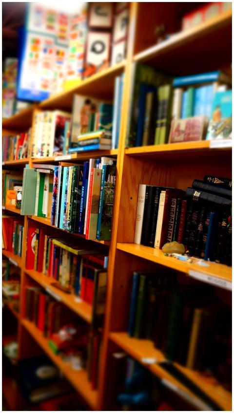 A vibrant array of books fills wooden library shel