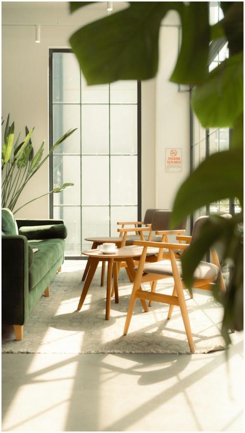 Sunlit modern interior design with green couch and