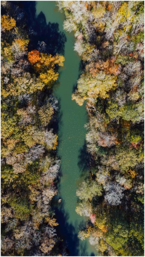 Free stock photo of aerial, alabama, birmingham