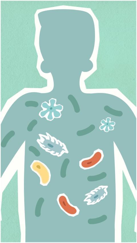 Illustration depicting microbiome within a human s