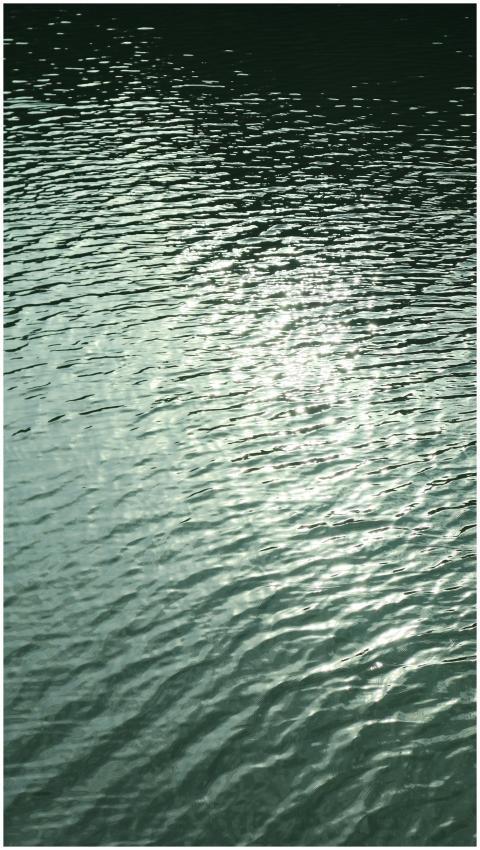 A serene view of water ripples reflecting sunlight