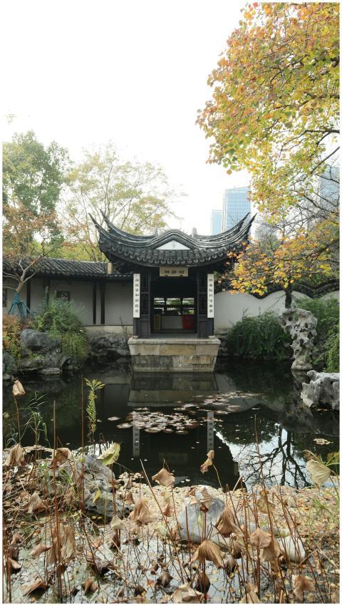A peaceful scene of a traditional Chinese garden r