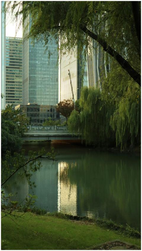 Serene Urban Park Cityscape