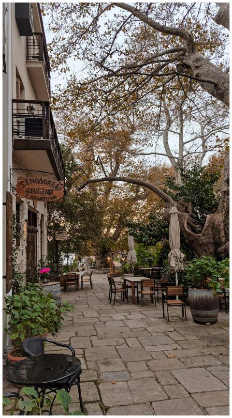 Charming Outdoor Cafe Autumn