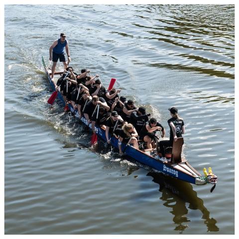 Dragon Boat Dragon Boat Racing Rowing Boat