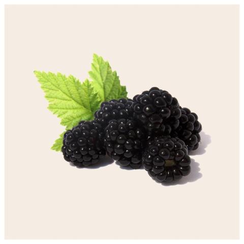 Blackberries Fruit Health Fruitnmore