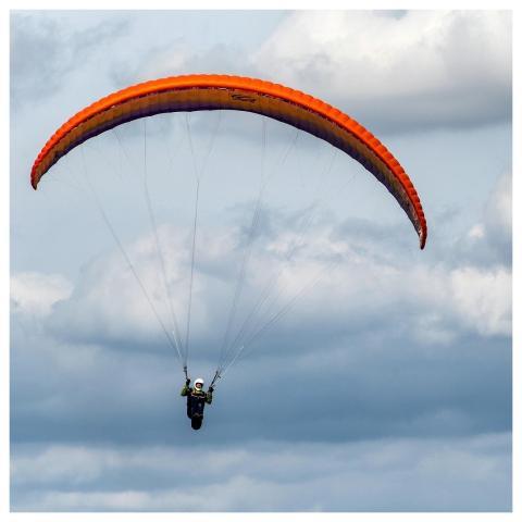 Kite Flying Kite Flyer Paraglider Glider Pilot