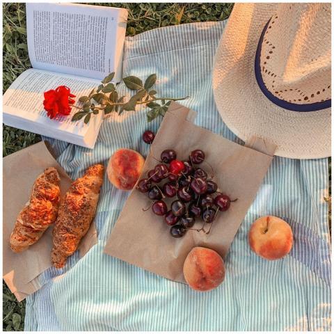 A picturesque summer picnic featuring croissants,