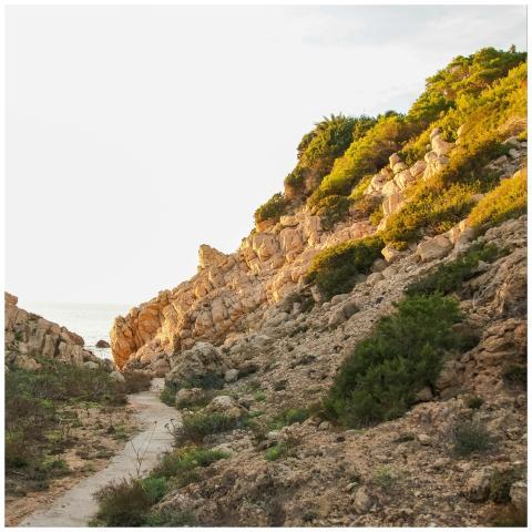 A tranquil coastal pathway meanders through sunlit