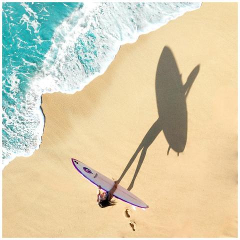 Aerial shot of a woman with a surfboard casting a