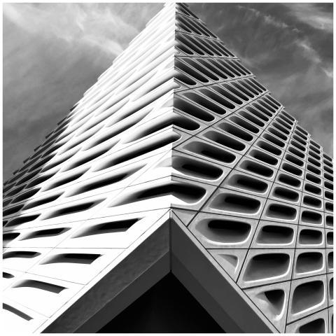 Striking black and white photo of a modern archite