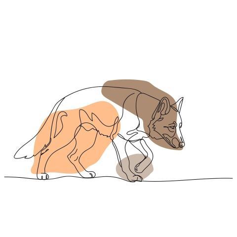 To Search Dog Training Track Training