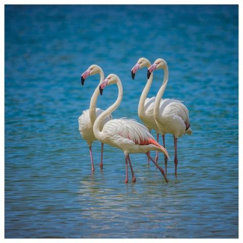 Water Nature Reflection Lake