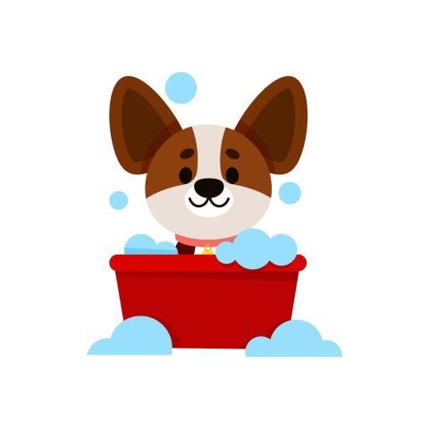 Animal Bath Cute Care