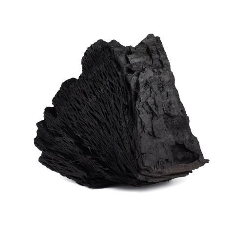 Hardwood Charcoal Charcoal Activated Burning