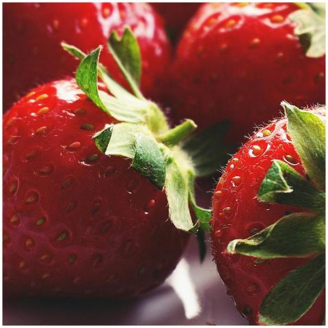 Close-up of fresh, juicy strawberries displaying v
