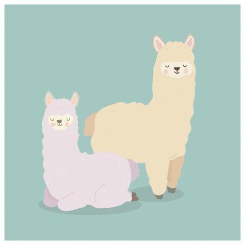 Alpaca Wool Boho Bohemian