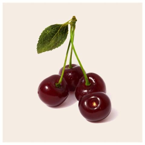 Sour Cherry Fruit Health Fruitnmore