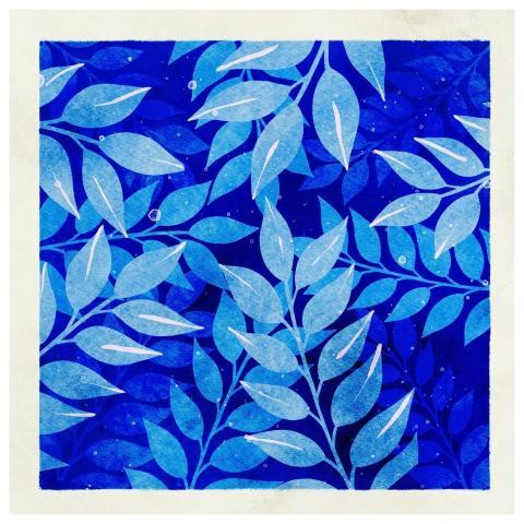 Dimensions Blue Cartoon Water