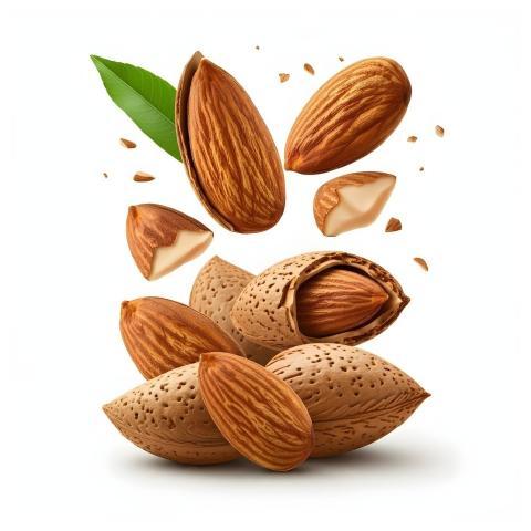 Almonds Nature Nuts Spring
