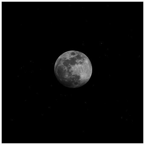 A captivating black and white photo of the full mo