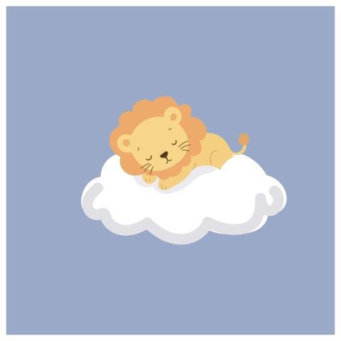 Lion Air Clouds Animal