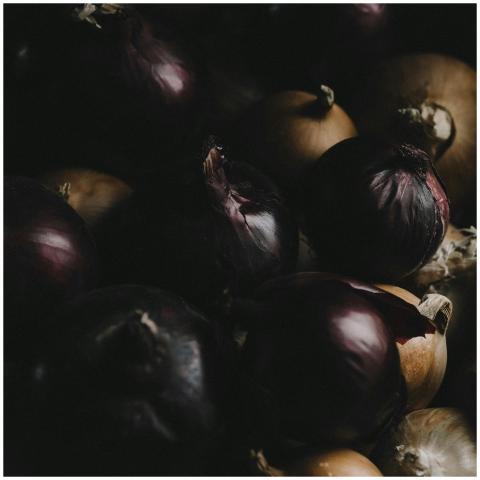 A dramatic still life photograph showcasing a mix