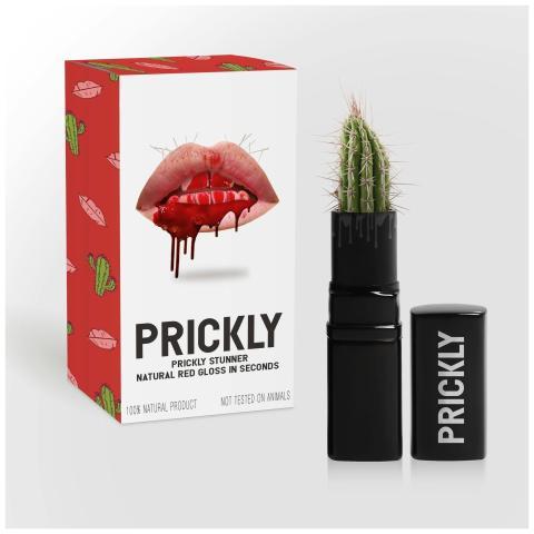 Innovative packaging of red lip gloss with a cactu