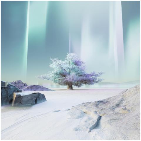 Dreamlike winter scene with aurora and lone froste