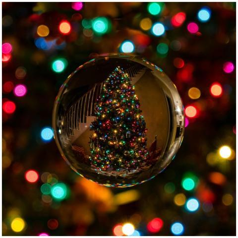 Capture the magic of Christmas with a colorful tre