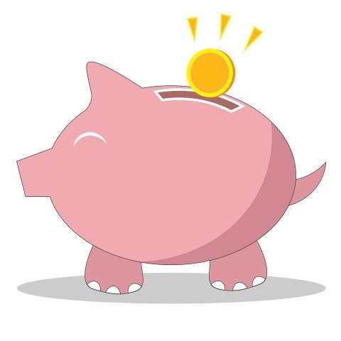 Piggybank Money Savings Investment