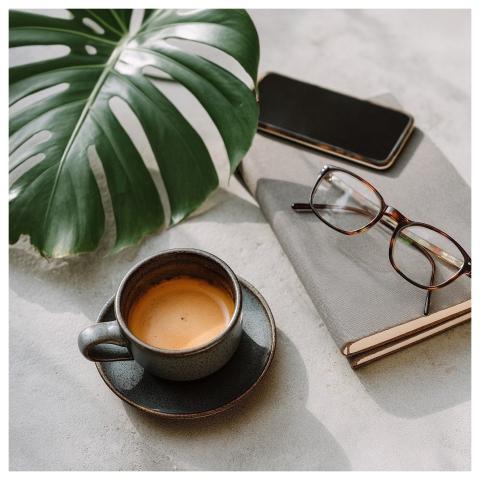 Houseplant Coffee Glasses Journal