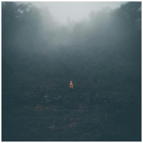 A solitary person in a hoodie roams through a fogg