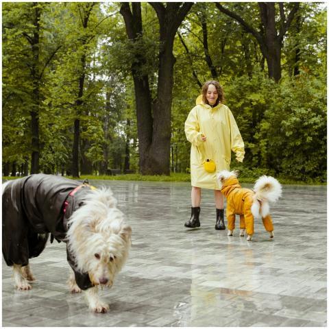 A woman in a yellow raincoat stands with dogs wear