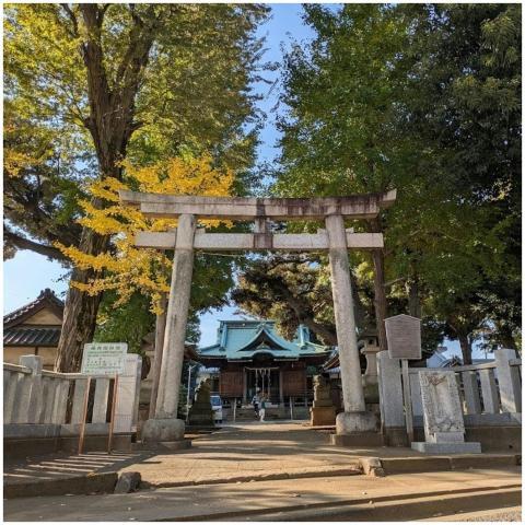 Scenic Torii Gate Japanese